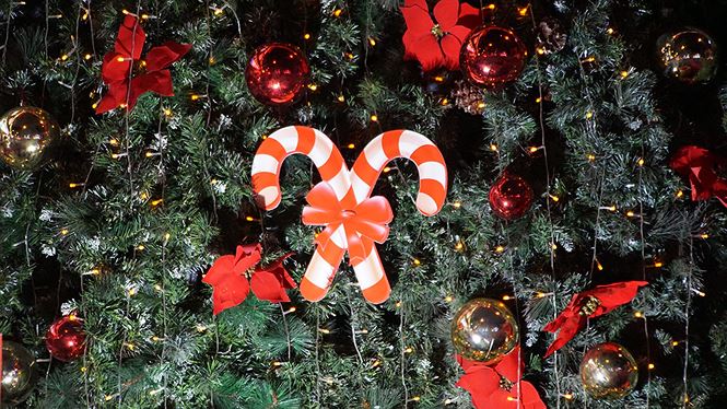 Không khí Noel tràn ngập phố phường Hà Nội